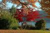 Bed & Breakfast Pension Alte M�hle