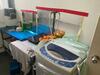 Apartamento 126 Larkin Studio Homestay