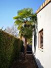Villa Tout Confort Valais Centrale 6 A10 Personnes