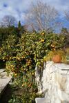 Apartamentos Three Oranges