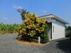 Hotel Nopparat Resort -???????-
