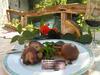 Hotel H�tel Le Chantoiseau