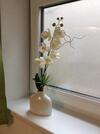 Apartamento Frieda H�llrigl