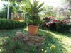 Apartamento Art Flowers And Culture
