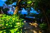Apartamento Traditional Home For Relaxation And Amazing View!!