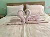Bed & Breakfast Lazy Lizard