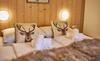 Apartamento Appartement Gretl By Holidayflats24