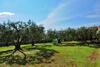 Apartamento Sunday Resort