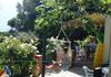 Agroturismo Studio Nausica... A Sense Of Paradise!