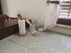 Apartman Ostrea ***