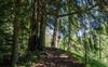 Apartamento Les Combins � Voll�ges-verbier Appt 8 Pers