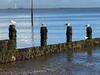 Seaview B&B