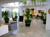 Hotel Albayzin Del Mar