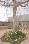 I Trulli Di Mina - Lamia Fresia
