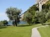 Bed & Breakfast Torre Degli Ulivi