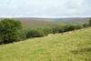 Threp'nybit Cottage