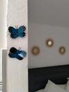 Apartamento Blue Butterflies Studio