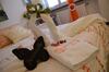B&B Fiordarancio