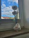 Apartamento Blick Punkt
