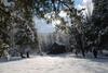 Hostal Shadow Mountain Escape Cabin Rentals