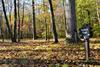 Hostal Shadow Mountain Escape Cabin Rentals