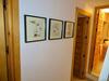 Luxury Boutique Townhouse - La Casa Amada