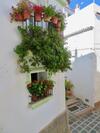Luxury Boutique Townhouse - La Casa Amada