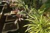 Apartamento The Waterloo Suite 1 B/r Apt: Central & Serene