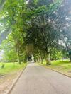 Tanglewood House Abergavenny With Private Parking