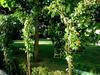 Apartamento La Francigena