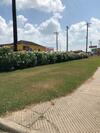 Motel Los Fresnos Inn And Suites