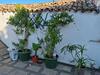 Green Palace