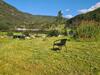 Apartamento Jondal