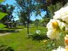 Bed & Breakfast Les Roulottes De La Brauderie