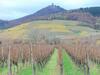 Apartment Route Du Vin Centre Alsace