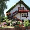 Apartment Route Du Vin Centre Alsace