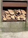 Apartamento Glyn Bach