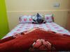 Green Land Estate Homestay