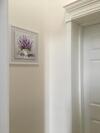 Apartamento Il Palazzetto