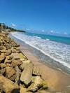Apartamento Peaceful Ocean Front Home Near Rainforest & Rivers 102