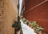 Appartamento Agave - Quartiere Castello
