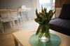 Apartament Ksandra Mare - Aprent