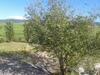 Agroturismo I Greppioli