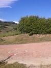 Agroturismo I Greppioli