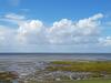 Apartamento Haus Colonia Nordsee App Mitteldorf