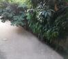 5 Bedroom Apartment In Gulberg II