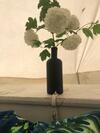 Buttercup Bell Tent In The Broads National Park