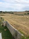 Agroturismo Le Maria Country Luxury Villa