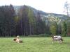 Agroturismo Ferienwohnungen Monika Unterluggauer