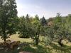 Villa Vila Timok